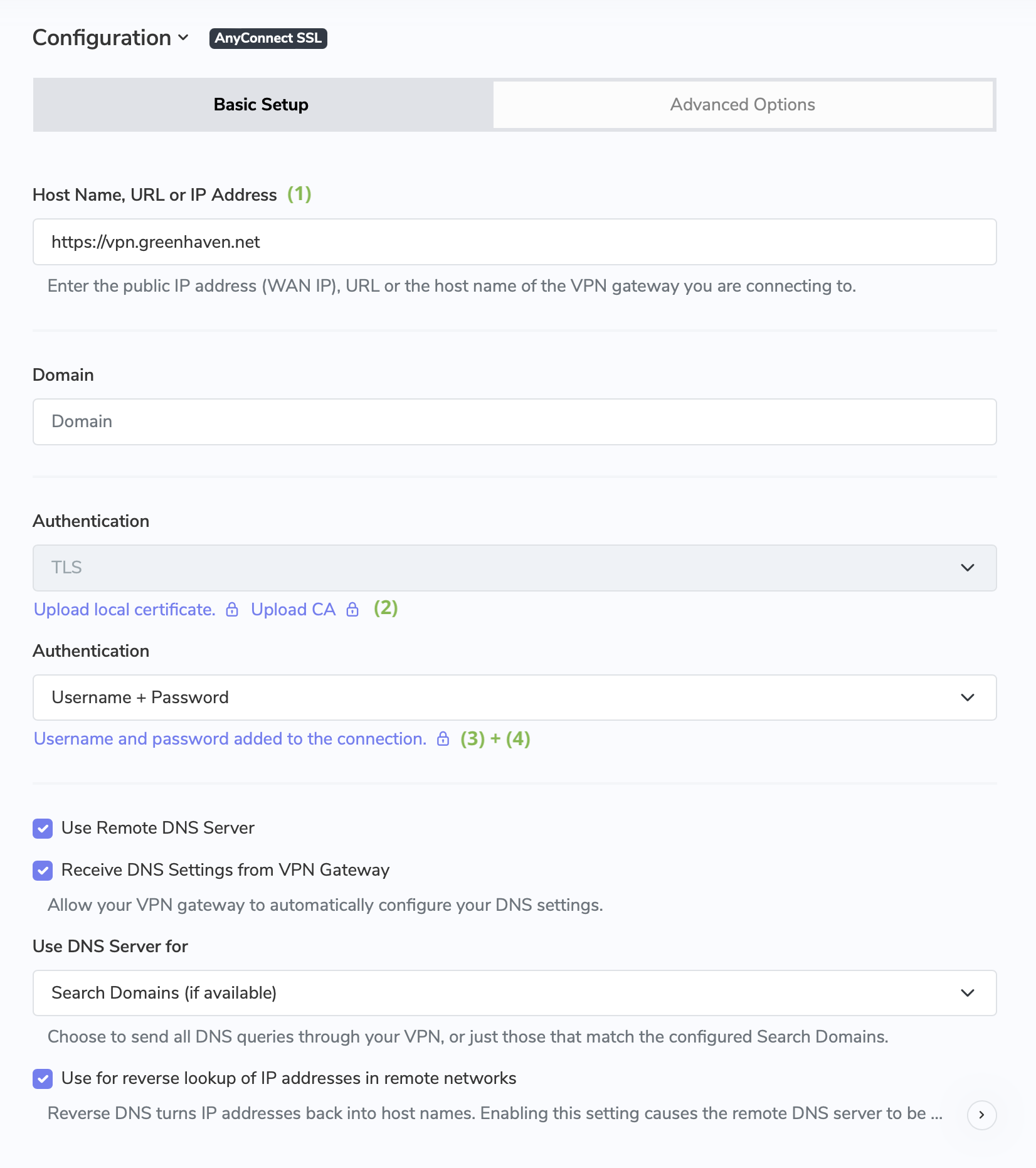 connect to cisco anyconnect ssl vpn in vpn tracker