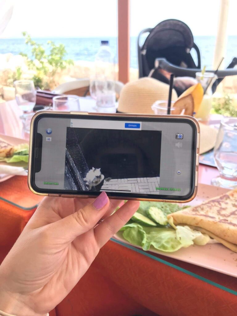iPhone zeigt eine VPN-Verbindung zu einer Sicherheitskamera mit einer Katze auf dem Bild