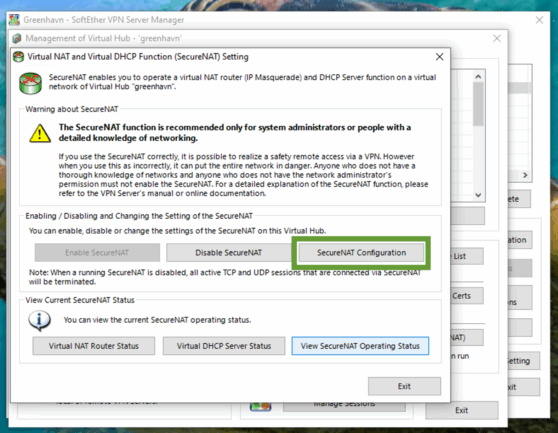 Enable SecureNAT for SoftEther VPN