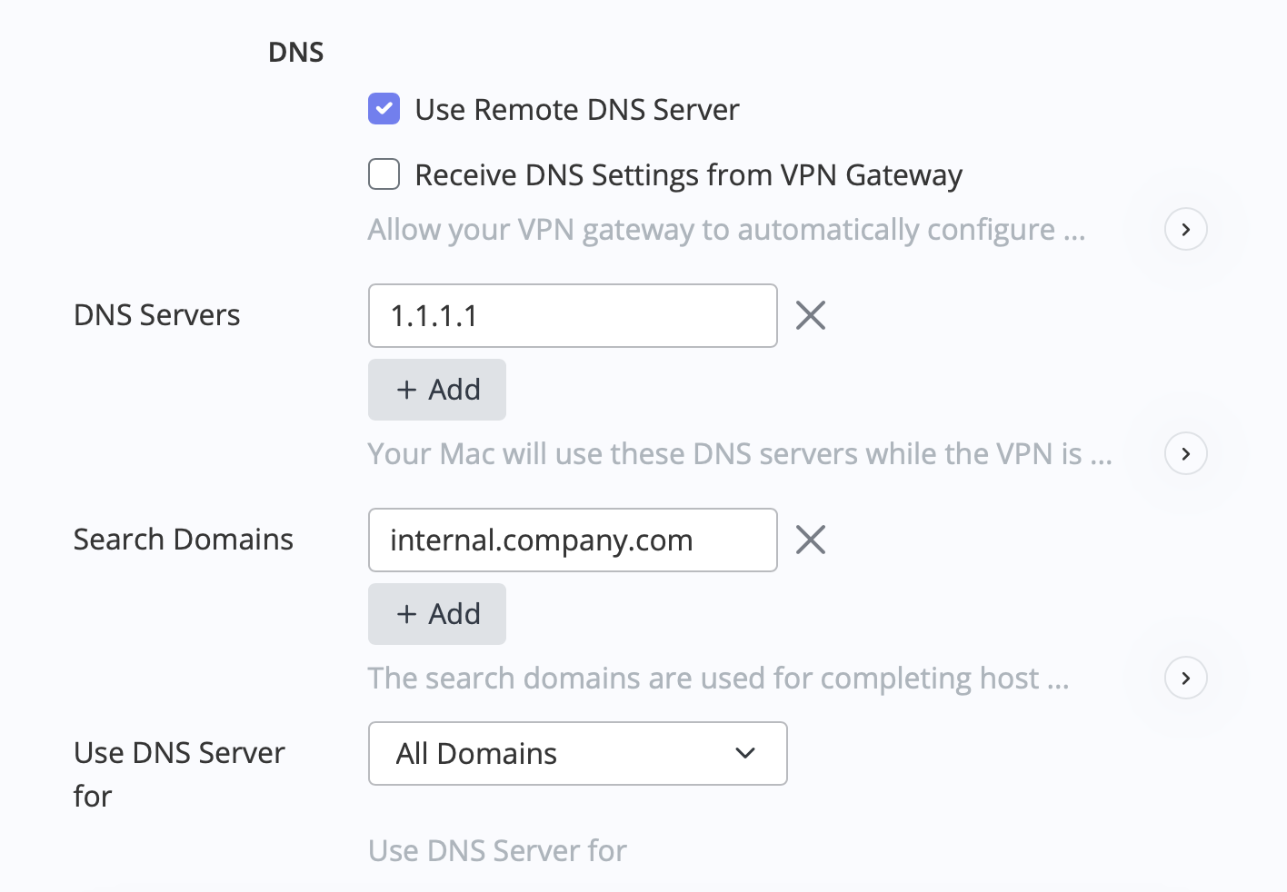 Bei der Konfiguration von L2TP VPN auf Mac können Sie auch benutzerdefinierte DNS-Einstellungen angeben